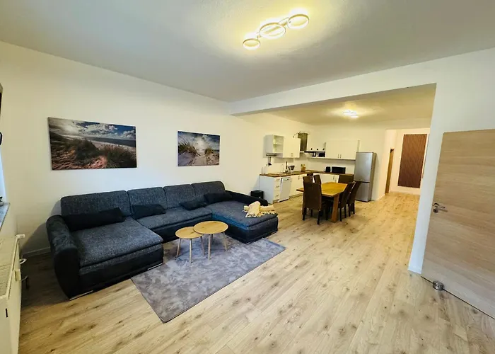 Rheinzeit Koeln Bonn